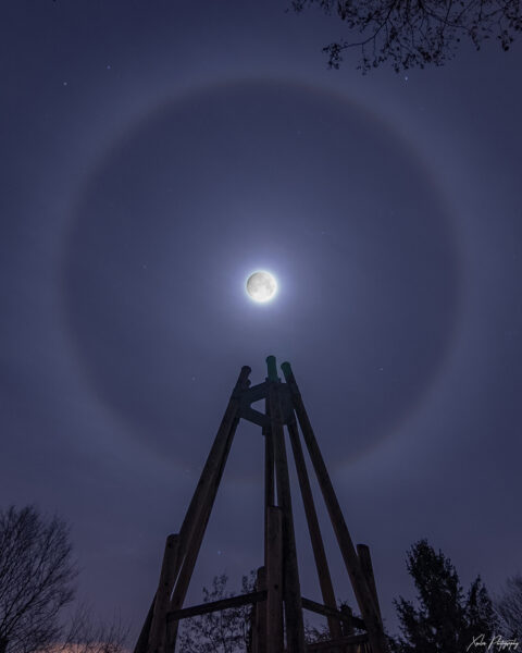 mond halo mond halo