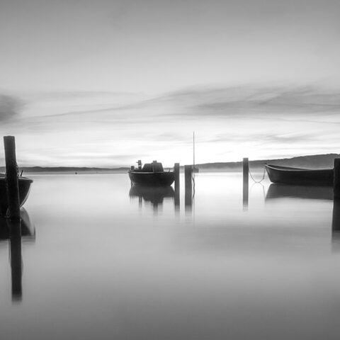 ammersee_dießen old tree_milchstrasse_fotografieren