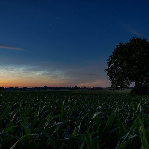 nlc clouds_augsburg nlc clouds_augsburg
